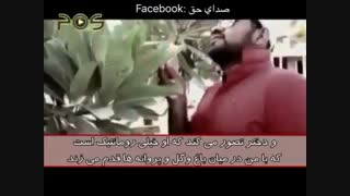 یک تفکر غلط در بین جوانان مسلمان در مسئله ازدواج ..... تقلید از غرب