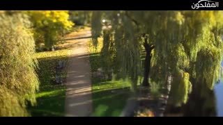 مجموعه زیبا و پر محتوای: سفر به سوی خوشبختی. _ قسمت دوم