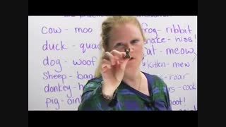 آموزش زبان Engvid استاد رونی 02128423118- 09130919448 - wWw.118File.Com