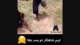 اینارو!!! چیا رو؟؟؟