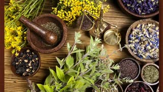 داروی گیاهی درمان بواسیر www.castelinagold.com هایفوتراپی