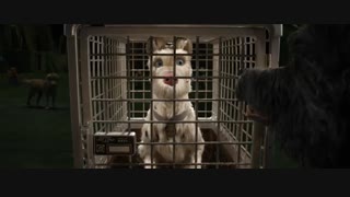 انیمیشن "جزیره سگها" Isle of Dogs 2018 با زیرنویس فارسی