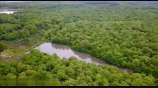 تور کاراکال http://tourana.ir/category/caracal-tour