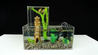 آکواریوم چند طبقه برای اختصاص محیط بیشتر به ماهی ها