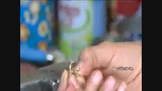 رونمایی از قفل های سنتی