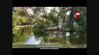 مشارکت در سرمایه گذاری