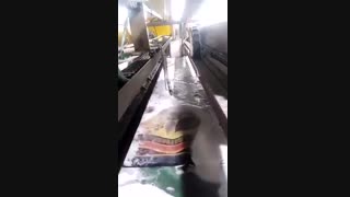 قیمت ماشین آلات قالیشویی | 02133158557