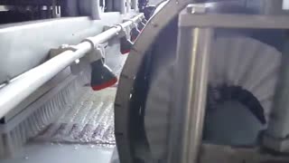 فروش ماشین آلات قالیشویی  | 02133158557