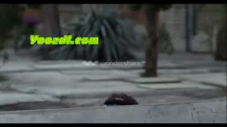 دانلود قسمت 15 سریال گلشیفته