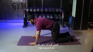 5 حرکت کششی جهت درمان کمر درد