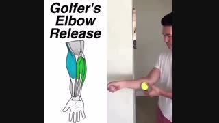 ورزش فیزیوتراپی آرنج در منزل 09122655648 طراحی سایت پزشکی