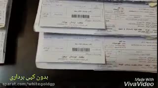 پرورش قارچ را چطور با هزینه  و وقت کم یاد بگیرم