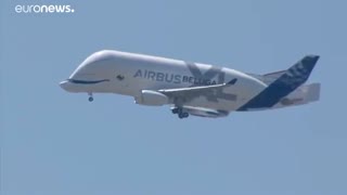 نهنگ سفید در آسمان‎ها؛ هواپیمای «Beluga XL» به پرواز درآمد