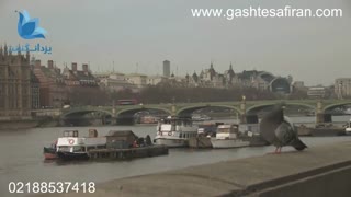 تاوربریج لندن