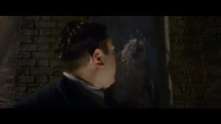 تریلر جدید فیلم جنایات گریندل والد