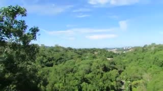 تست زوم دوربین عکاسی کانن SX60 HS-دوربین شاپ