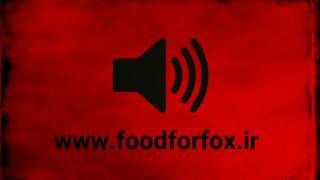 صدای جن از کالبد انه لیز میشل