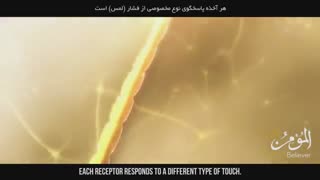 4. پوستِ حیرت آور / اثر انگشت (اعجاز علمی قرآن)