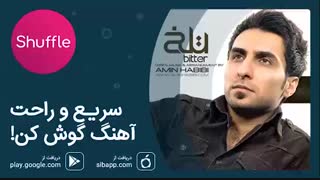 آهنگ زیبای امین حبیبی به نام تولد