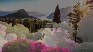 معرفی ویدیویی تلویزیون هوشمند 55 اینچ 4k سونی مدل 55X9300E