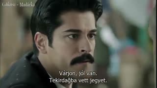 çalikuşu 11 bolum