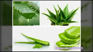 جایگزین مسکن ها با این گیاهان طبیعی