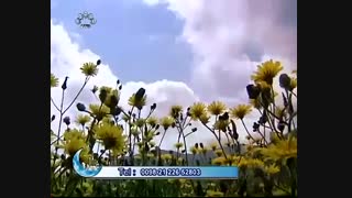 برنامه موسیقی آذربایجان AY İŞIĞINDA