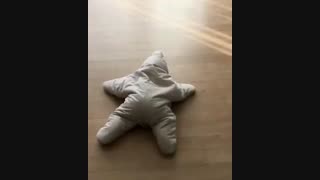 ستاره دریایی زنده*_*