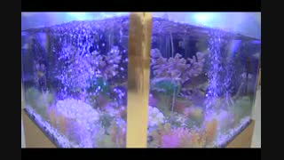 دفتر ازدواج در شرق تهران