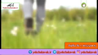 پیشنهاداتی برای زیبایی شناسی