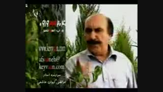 نفرین-سروده استاد مرتضی کیوان هاشمی