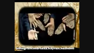 باغ ما-سروده استاد مرتضی کیوان هاشمی
