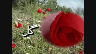 محبوبه ی من-سروده استاد مرتضی کیوان هاشمی
