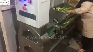 دستگاه اسلایسر سبزیجات و صیفی جات