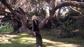 MV starry night از mamamo