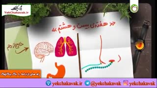شکل گیری مغز جنین