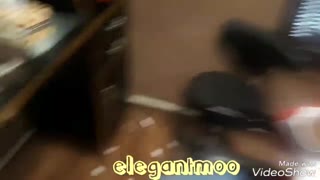 ترمیم موی الگانت 88962259