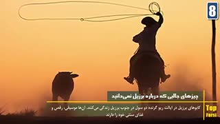 آیا میدانستید؟ دانستنی های جالب درباره برزیل