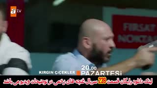 سریال غنچه های زخمی قسمت 239 دوبله فارسی کامل