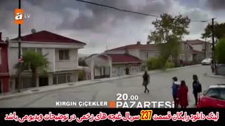 سریال غنچه های زخمی قسمت 237 دوبله فارسی کامل