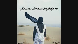 شاهین | سارینا