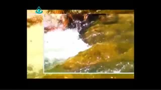 موسیقی تصویری بختیاری لری کوهرنگ