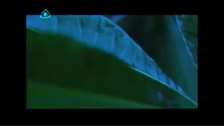 موسیقی تصویرلری زیبا