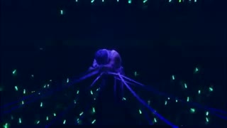 taemin door concert