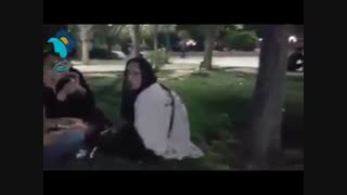 زامبی هایی که زاییده اعتیاد هستند