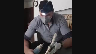 کوک ، رگلاژ ، بازسازی کامل پیانو 09121547834