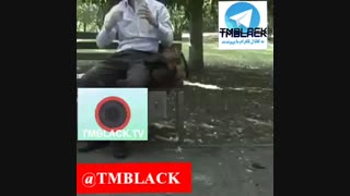 نیمکت ها در آینده
