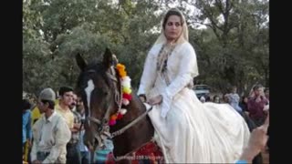 شروه(شلوا،شروا)محلی دشتی بسیار زیبا و دلنشین از (آوای محلی ایران)#نجیم رضایی3 HD