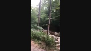 دیکلمه عاشقانه و فوق العاده زیبا، احمد شاملو