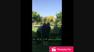 سم پاشی درختان و پرچین ها با حضور اساتید از مرکز تحقیقات جهاد کشاورزی و کارشناسان ناظر حوزه خدمات شهری